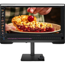 Монітор BENQ PV3200U Dark Grey (9H.Y01LA.TBE)
