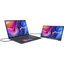 Монитор ASUS ProArt PA148CTV (90LM06E0-B02170)