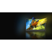 Монитор BLACKVIEW SCM8 Single Grey (BVSCESCM8GR)