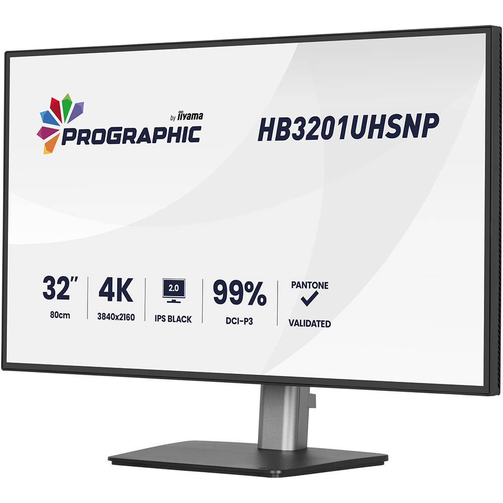 Монітор IIYAMA ProGraphic HB3201UHSNP-B1 Матриця IPS