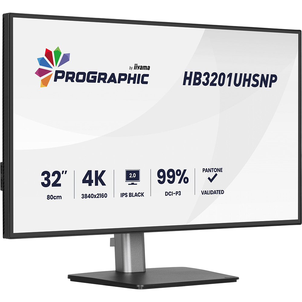 Монітор IIYAMA ProGraphic HB3201UHSNP-B1 Діагональ 31.5