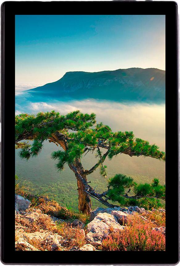 Планшет Sigma mobile X-style Tab A1010 4/64GB Black (4827798766217) + чехол-книжка в комплекте Дисплей 10.1