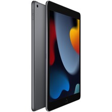 Планшет APPLE iPad 10.2" 64GB 2021 Wi-Fi Space Grey (MK2K3RK/A)