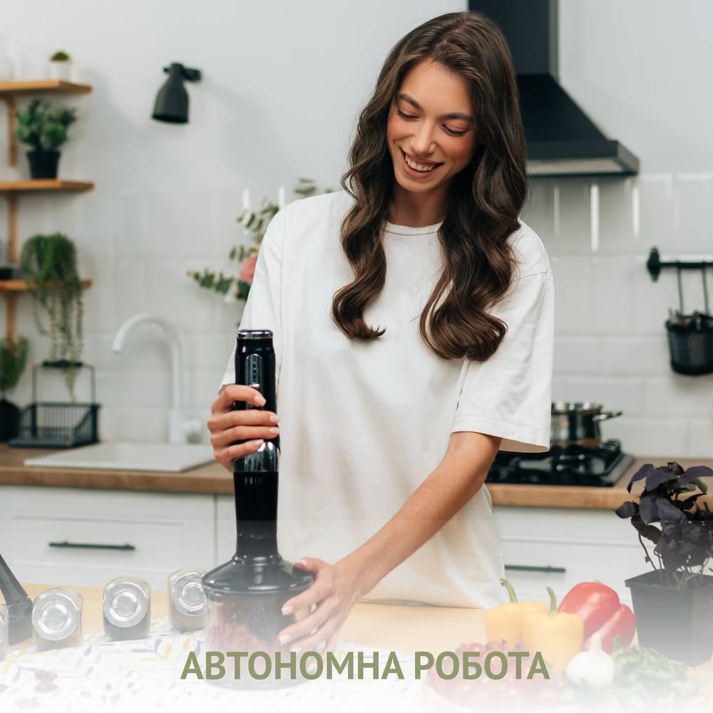 Блендер QUIN RHB-301 Особенности Подставка для блендера, Прорезиненная ручка, Тихий режим