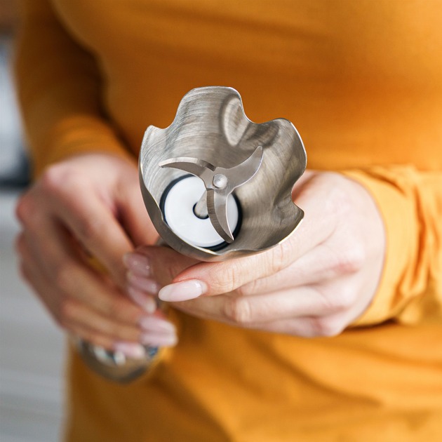 Фото Блендер QUIN HB-103