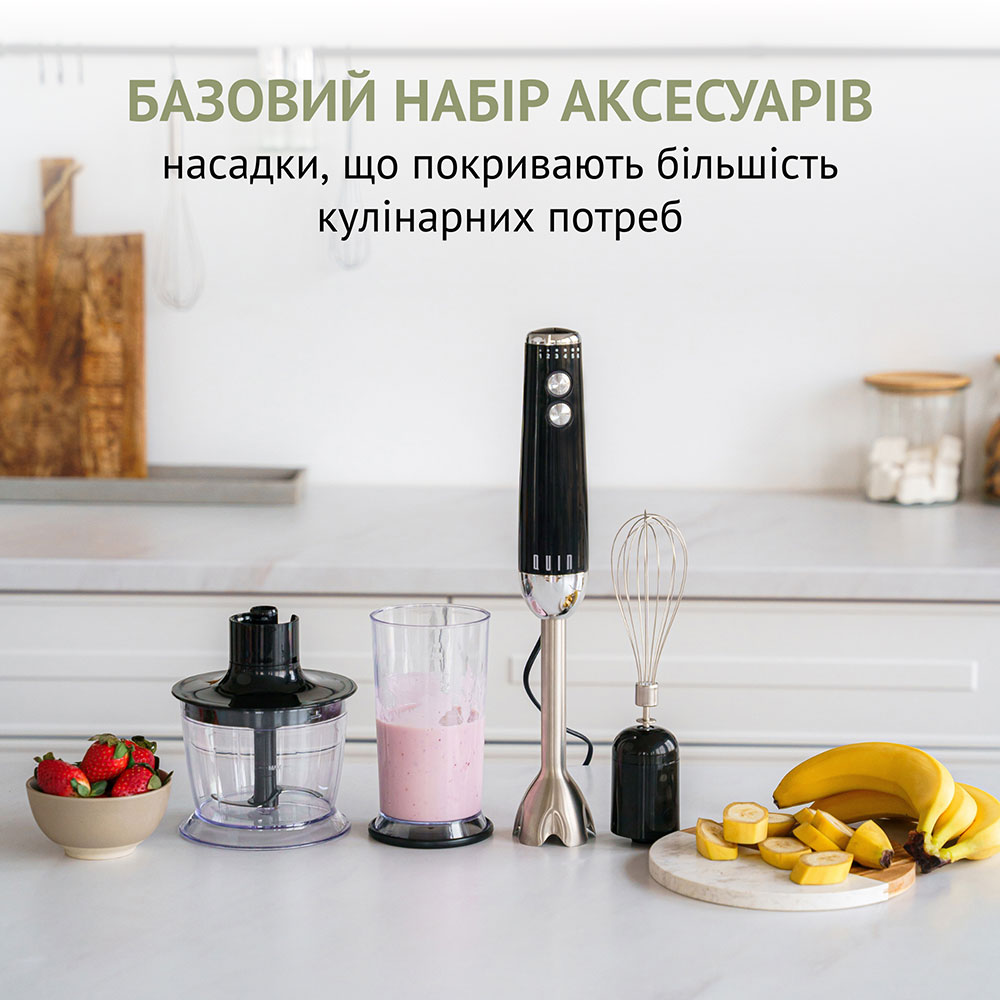 Блендер QUIN HB-103 Тип набору занурювальний