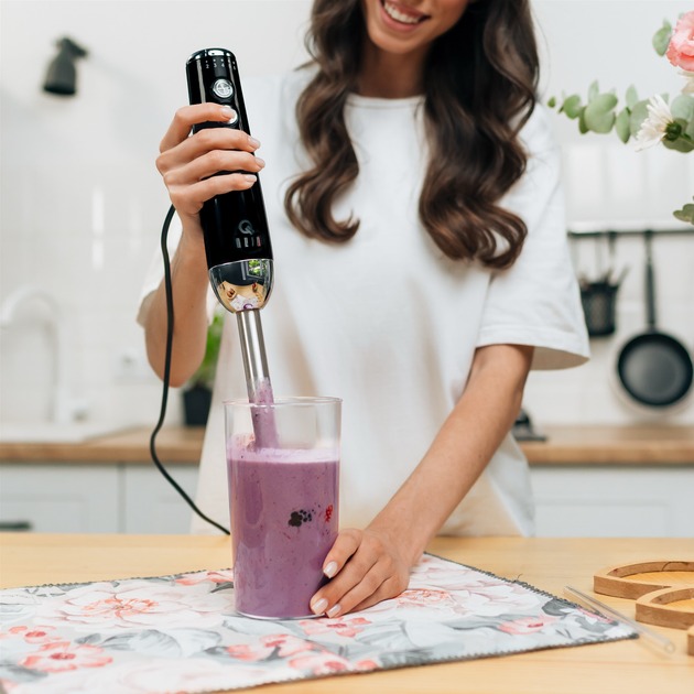 Зовнішній вигляд Блендер QUIN HB-103