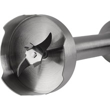 Блендер ERGO EHB 9500