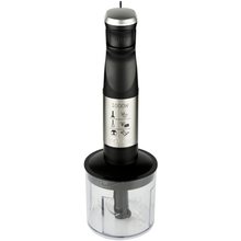 Блендер ROTEX RTB1090-B MasterPower