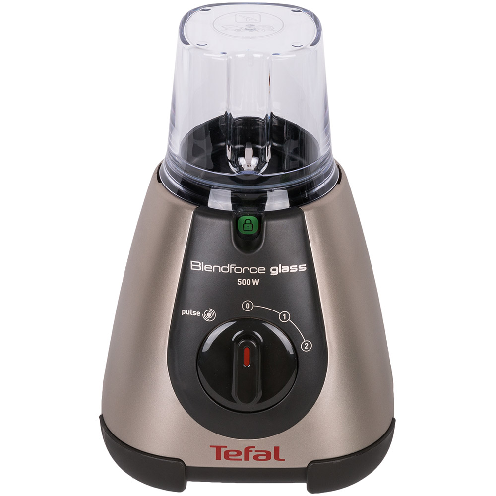 Зовнішній вигляд Блендер TEFAL BL313