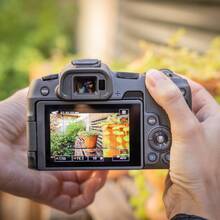 Фотоаппарат CANON EOS R8 Body + LP-E17 Black (5803C087AA)