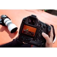 Фотоаппарат CANON EOS R1 body (6577C016)