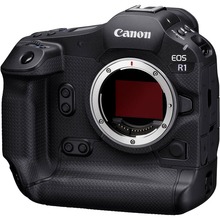 Фотоаппарат CANON EOS R1 body (6577C016)