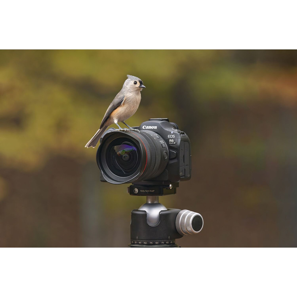 В інтернет магазині Фотоапарат CANON EOS R6 Mark III + RF 24-105 f/4.0-7.1 IS STM (7084C031)