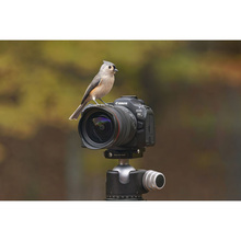 Фотоапарат CANON EOS R6 Mark III + RF 24-105 f/4.0-7.1 IS STM (7084C031)