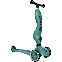 Самокат SCOOT&RIDE Highwaykick-1 Forest (SR-160629-FOREST)