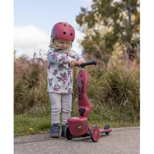 В Україні Самокат SCOOT&RIDE Highwaykick-1 Lifestyle Wildcat (SR-210621-WILDCAT)