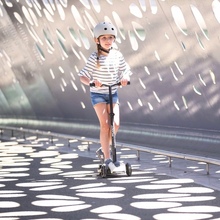 Самокат SCOOT&RIDE Highwaykick-5 ASH (SR-190117-ASH)