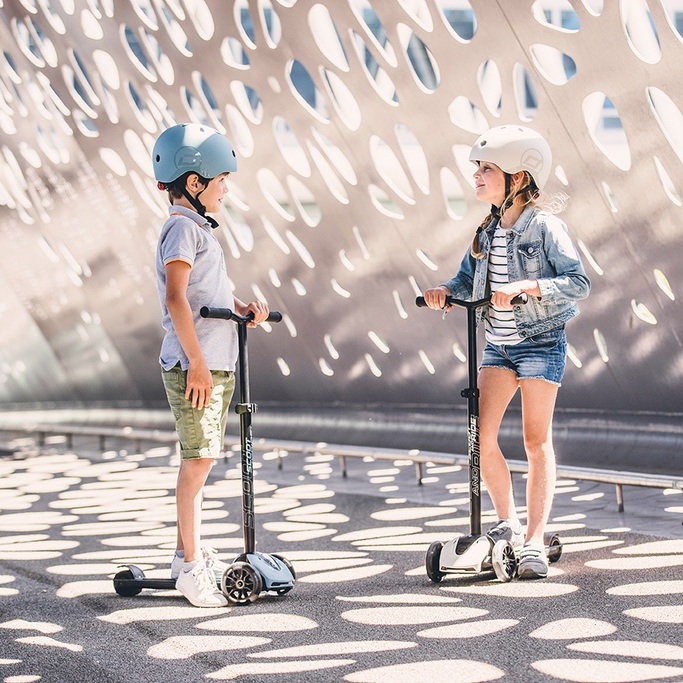 Самокат SCOOT&RIDE Highwaykick-5 ASH (SR-190117-ASH) Тип кікборд