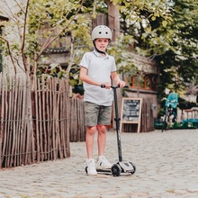 Самокат SCOOT&RIDE Highwaykick-5 ASH (SR-190117-ASH)