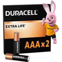 Лужні батарейки DURACELL AAA 2 шт (81545417)