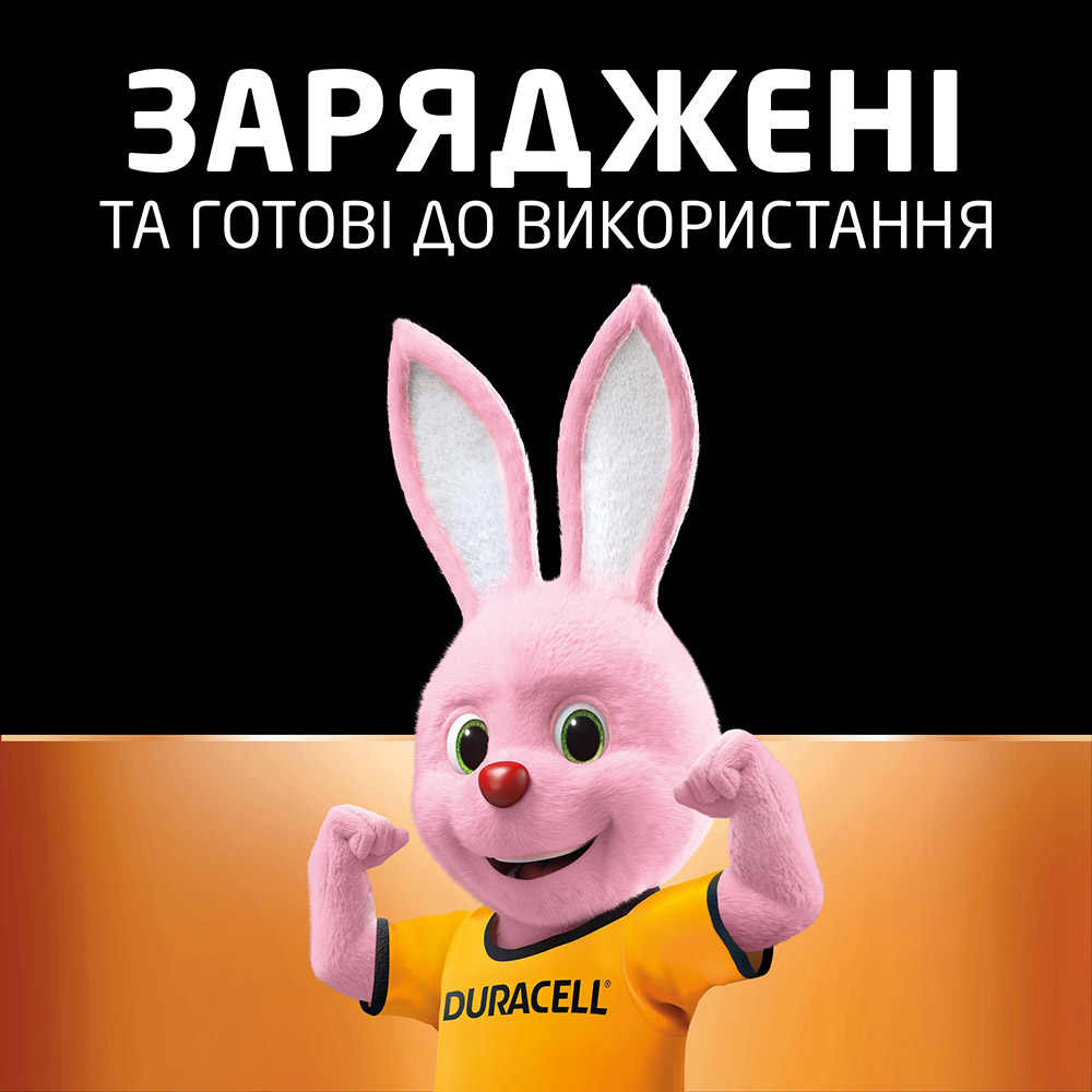 Фото Аккумуляторы DURACELL Rechargeable AA 1300 мАч 4 шт (5007324)