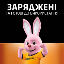 Аккумуляторы DURACELL Rechargeable AA 1300 мАч 4 шт (5007324)