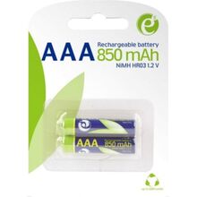 Аккумулятор ENERGENIE AAA/HR03 Ni-MH 850 mAh BL 2 шт (EG-BA-AAA8R-01)