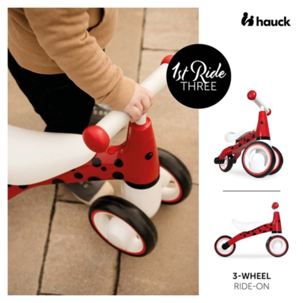 Беговел HAUCK 1st Ride Three Ladybug Red (80301-5) Материал рамы пластик