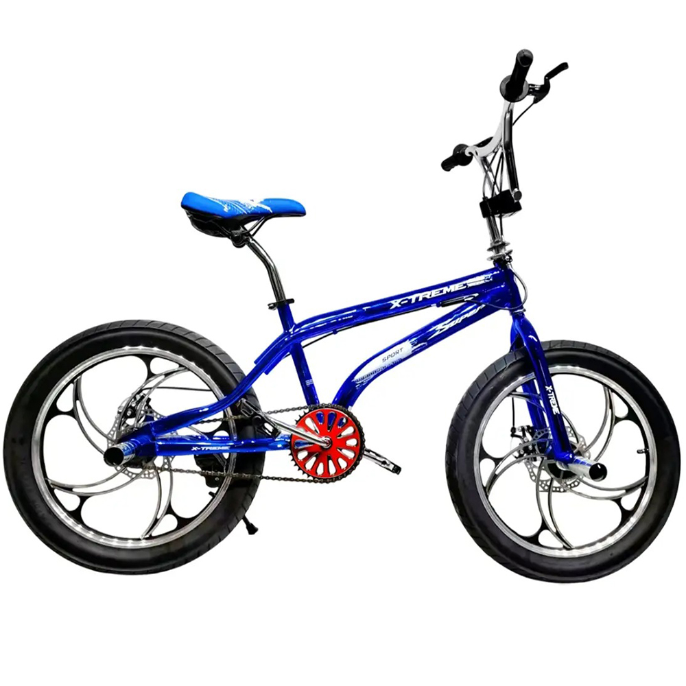 Велосипед  X-TREME SPIRIT 25.20-02 (145887) Тормоза Механические дисковые