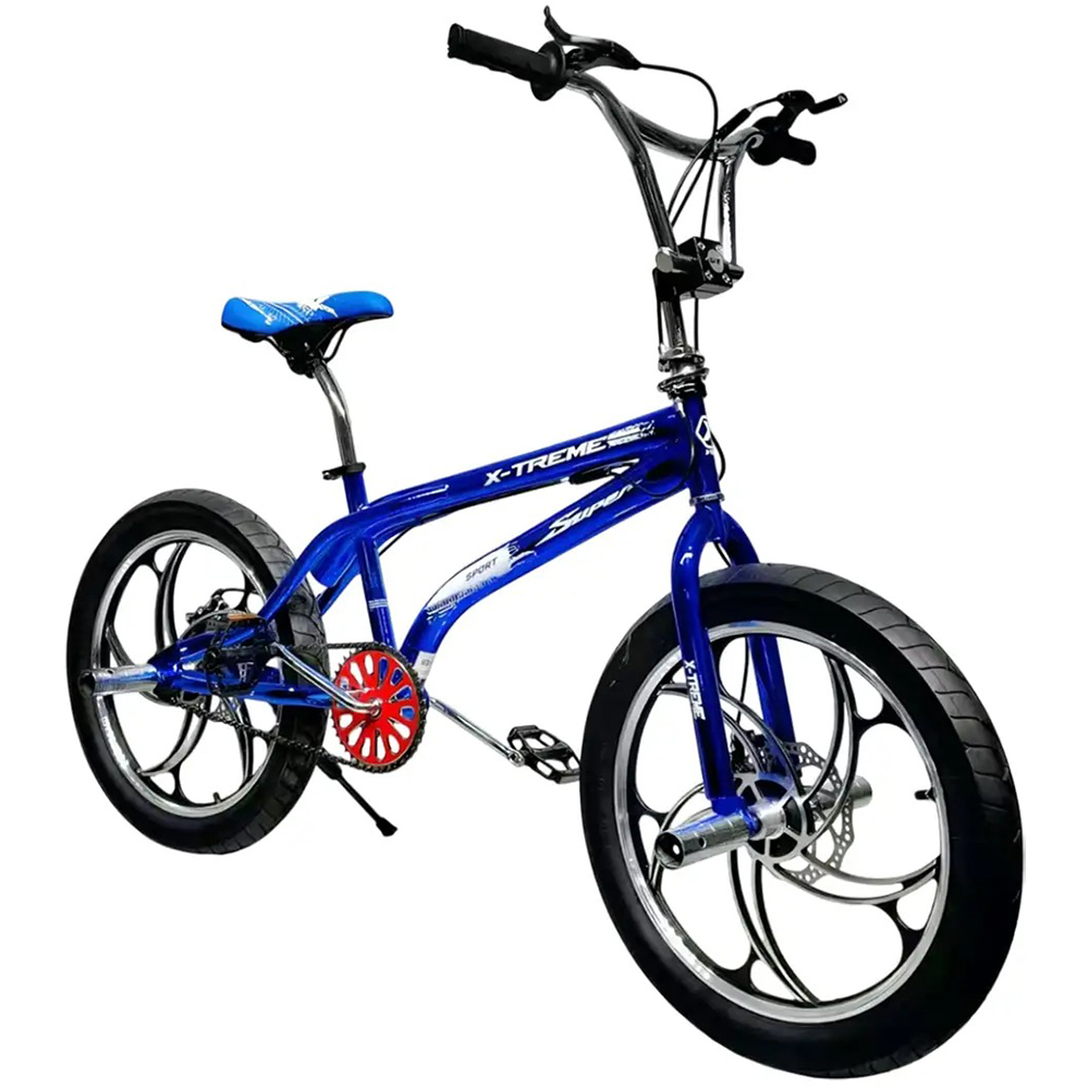 Велосипед  X-TREME SPIRIT 25.20-02 (145887)