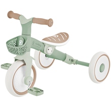 Дитячий велосипед GLOBBER LEARNING TRIKE 2в1 PLUS ECOLOGIC Pistachio (737-109)