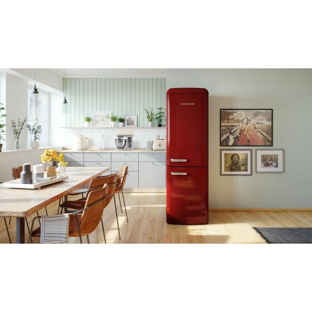 Обзор Холодильник GORENJE ONRK 619 DR