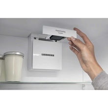 Холодильник LIEBHERR MBsddi 9024 Silver