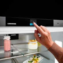 Холодильник LIEBHERR MBsddi 9024 Silver