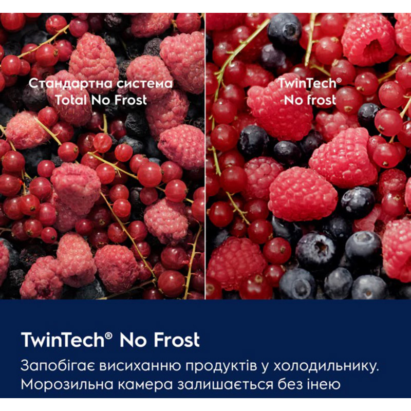 Холодильник ELECTROLUX LNT7ME36K2 Розморожування морозильної камери No Frost