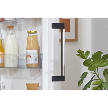 Холодильник GORENJE R 619EAW 6 (HS4168SEB)