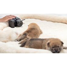 Об'єктив CANON RF-S 7.8 мм F4 STM DUAL (6795C005)