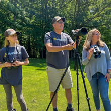 Штатив VANGUARD Vesta Go 264AV12 Black