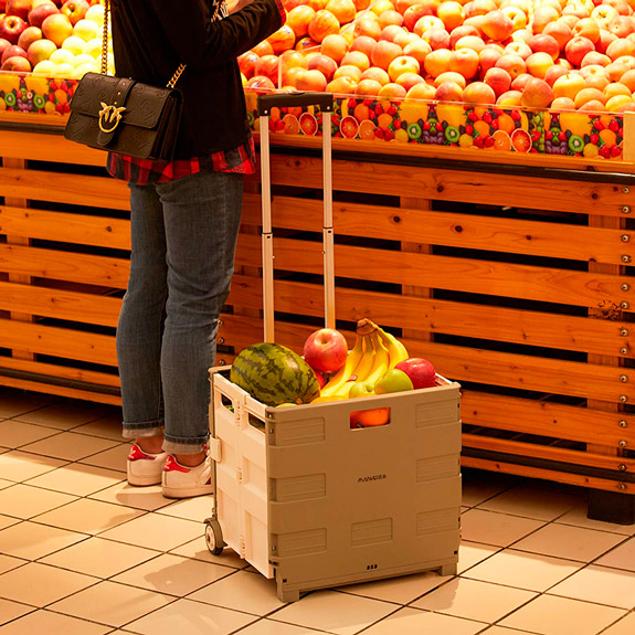 Складаний візок XIAOMI MAIWEI Trolley Case Gray large 35L Об'єм 35