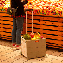 Складаний візок XIAOMI MAIWEI Trolley Case Gray large 35L