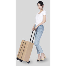 Тележка HAND PULL Shopping Cart Black (E002)