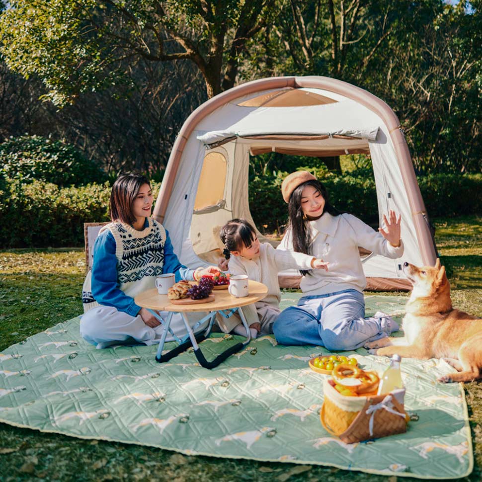Коврик для пикника NATUREHIKE с собаками Green (CNK2350WS010) Размер в сложеном виде 18 х 42