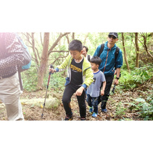 Трекинговая палка NATUREHIKE Women 6061 AL NH17D001-Z 57-120 см Gold (6975641885597)