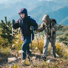 Трекинговая палка NATUREHIKE ST06 NH17D006-D 66-135 см Green (6927595798249) Трекинговая палка NATUREHIKE ST06 NH17D006-D 66-135 см Green (6927595798249)