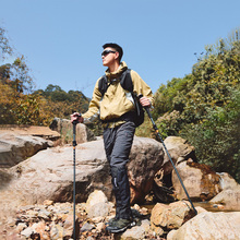 Трекинговая палка NATUREHIKE CNK2450DS013 103-120 см Вlack (6975641883708)