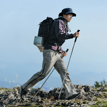 Трекінгова палиця NATUREHIKE CNK2450DS016 35-110 см Purple (6927595777718)