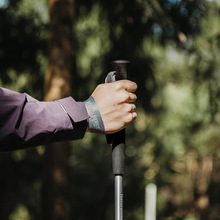 Трекінгова палиця NATUREHIKE CNK2450DS016 35-110 см Purple (6927595777718)