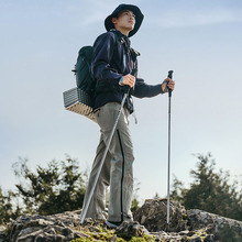 Трекінгова палиця NATUREHIKE CNK2450DS016 35-110 см Purple (6927595777718)