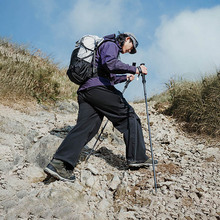 Трекинговая палка NATUREHIKE CNK2450DS017 39-130 см Black (6927595789483) Трекинговая палка NATUREHIKE CNK2450DS017 39-130 см Black (6927595789483)